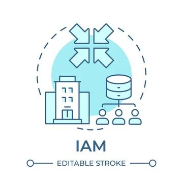 IAM soft blue concept icon Stockillustratie