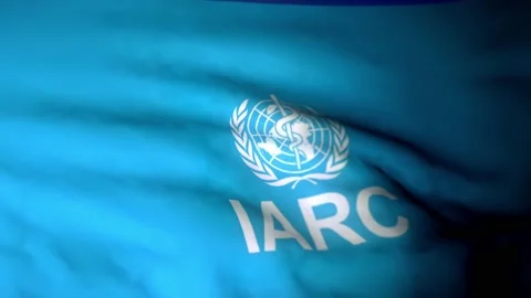 IARC  3840x2160UHD Video stock 224613824