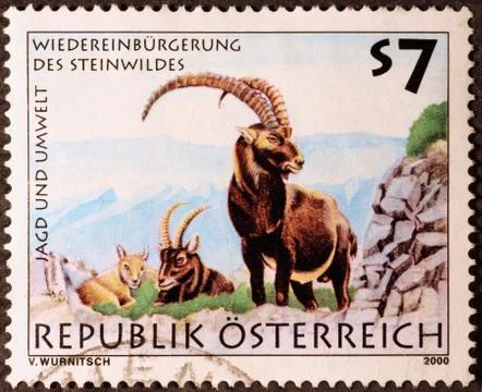 Ibex on austrian postage stamp Stock Photos