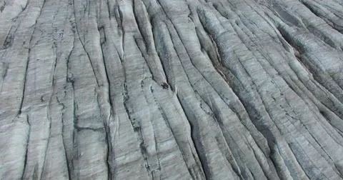 Ibex on the glacier Stock Footage 67630460