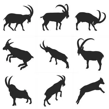 Ibex Goat Wildlife Vector Illustration, Ibex and Mountain Goat Silhouette Stock Illustration