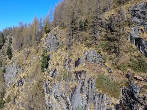 Ibex in mountain - Aerial view Stock Footage 77650287