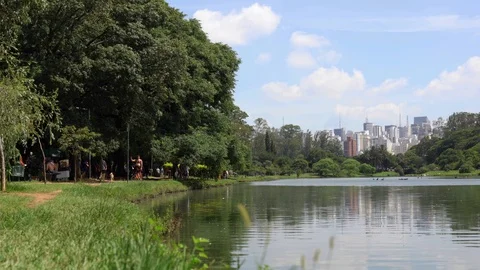 Ibirapuera Park - Angle 3 Stock Footage