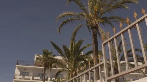 Ibiza Package 51 | walking motion zoom in street and palm trees behind fence Vídeo Stock 118696006
