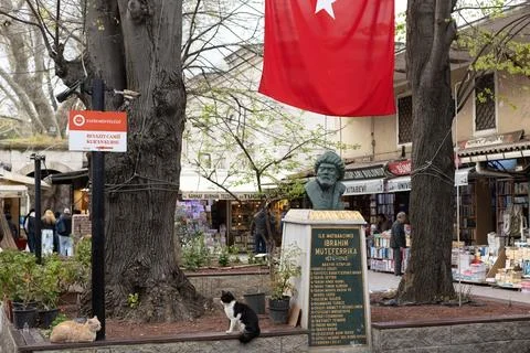 The Ibrahim Muteferrika monument is located in the square between the booksto Foto stock
