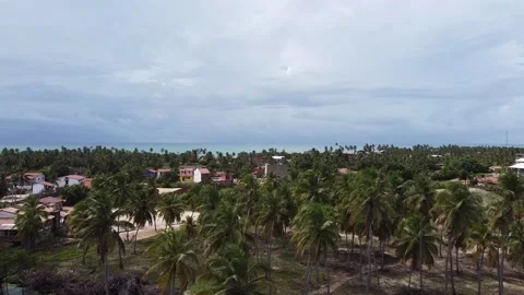 Icaraí de amontada Ceará Video stock 195099819