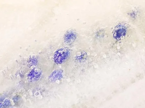 Ice abstraction with bubbles Stock Photos