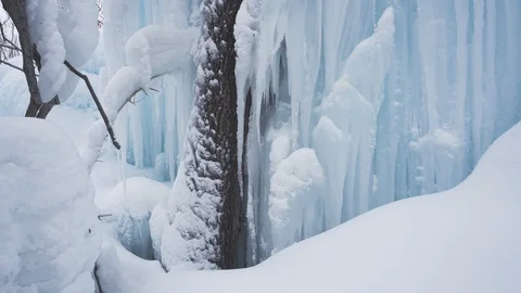Ice Age. Life in the ice captivity Stock Footage 108569333