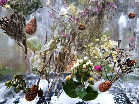Ice Age Foto stock