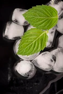 Ice and mint Stock Photos