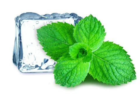 Ice and mint Stock Photos