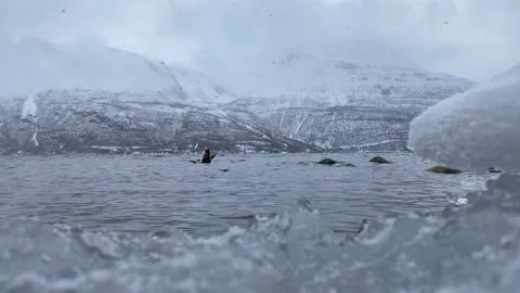 Ice and snow in the foreground with the ocean of Lyngen fjord in the background Stock Footage 174856840