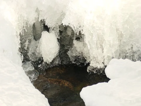 Ice and Snow Surrounding Small Pond 動画素材 73549915