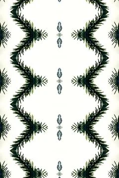 Ice and spruce twig pattern Illustrazione stock
