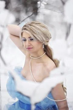 Ice and winter queen Stock Photos