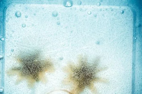 Ice background close up Stock Photos