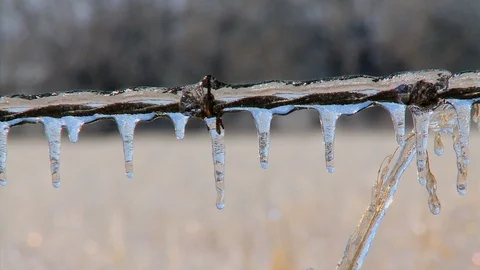 Ice on Barbed Wire Extreme Closeup Video stock 106892340