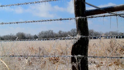 Ice on Barbed Wire Fence Medium Video stock 106892050