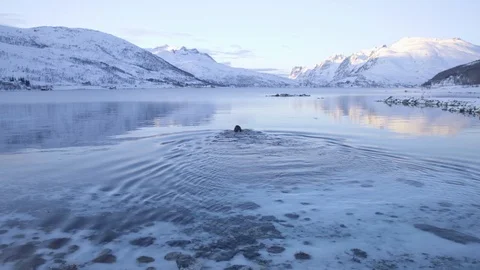 Ice Bath in the Artic Circle. Stock Footage