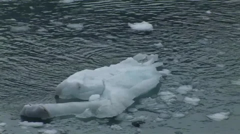 Ice Bergs in Alaska Stock Footage 57093162