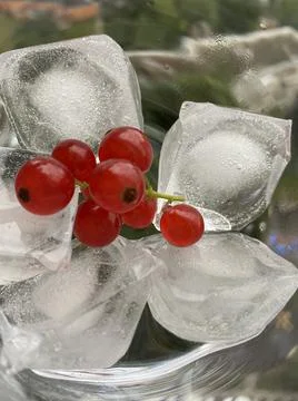 Ice with berry Foto stock
