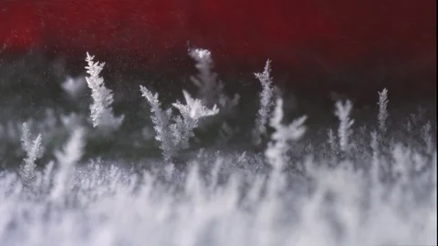 Ice &amp; blood Stock Footage 98762639