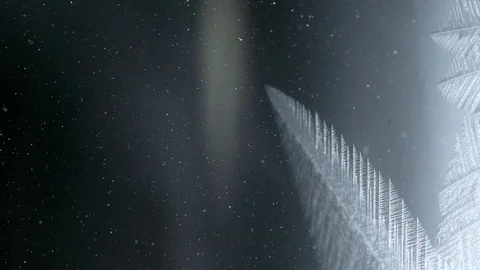 ICE BLOOM Video stock 102348459