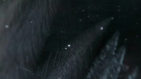 ICE BLOOM (rotation) Video stock 102349786