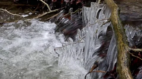 Ice on a branch over the stream Stock Footage 46273459