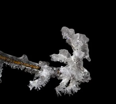 Ice branch Stock Photos