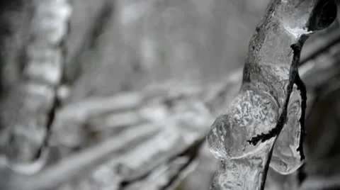 Ice Branches (rack focus) Video stock 10765527