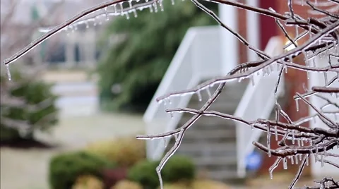Ice on Branches in Residential Area Stock Footage 58933080