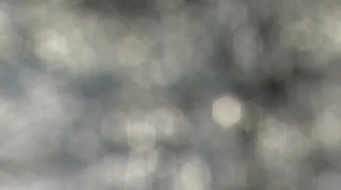 Ice branches wind Stock-Footage 34453889