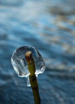 Ice bubble at saale river in jena at a sunny day in winter 2021 Stock Photos