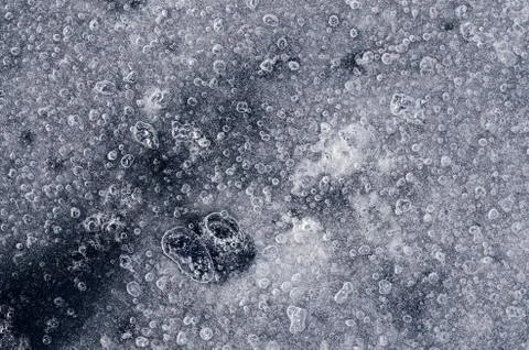 Ice bubbles texture Stock Photos
