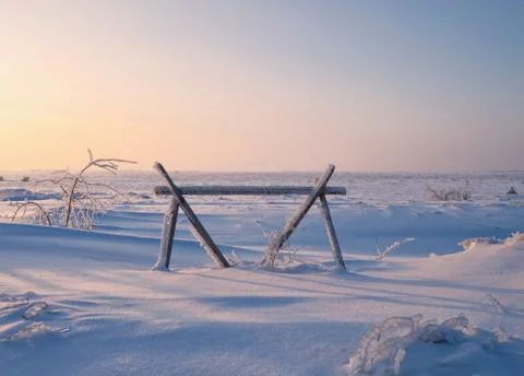 In ice captivity Stock Photos