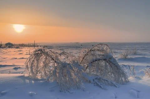 In ice captivity Stock Photos