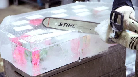 Ice Carving Vídeo Stock 103231734
