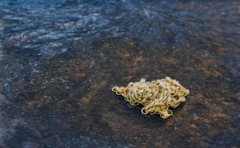 Ice chain Stock Photos