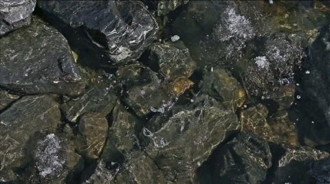 Ice chips floating in clean spring river Stock Footage 62319890