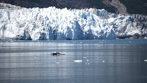 Ice chunks drift slowly past face of glacier Video stock 117738028
