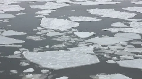 Ice chunks float in ocean harbor, close up, Portland Maine Stock Footage 47086547
