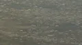 Ice Chunks in River HD Footage