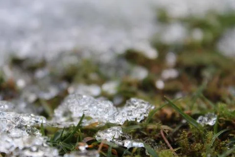 Ice Close Up 스톡 사진