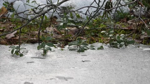 Ice closeup 스톡 동영상 181115641