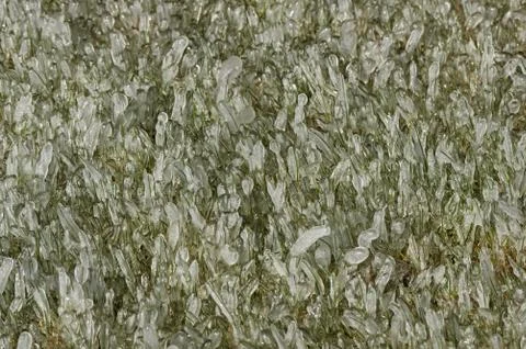Ice Coated Grass Stock Photos
