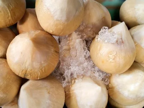 Ice Cold Young Coconuts in The Market Foto stock