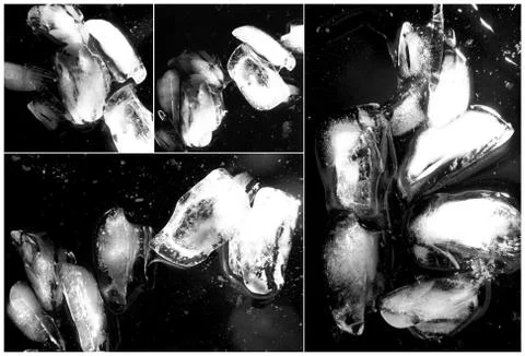 Ice collage Foto stock