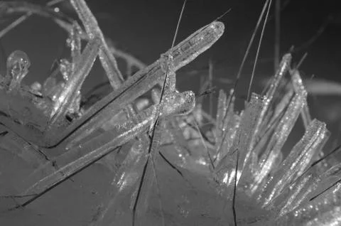 Ice covered grass Stock Photos