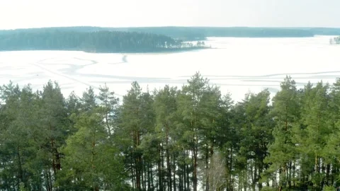Ice covered lake surrounded by forest, winter snow, aerial drone view Stock-Footage 302906884